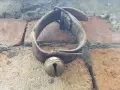 Бронзова хлопка звънец орехче , снимка 4