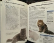 Всичко за котката -д-р Брус Фогъл-наръчник на собственика, снимка 3