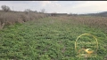 Парцел със стара къща село Георги Добрево, снимка 4