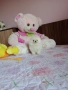 Бял мини Померан. Миниатюрно момченце., снимка 6