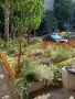 Почистване на входове и Градинки, снимка 4