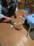 Подарявам котенце, снимка 1