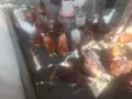 Продавам млади кокошки, снимка 4