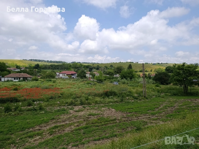 Парцел в с.Кайнарджа, снимка 4 - Парцели - 52271773