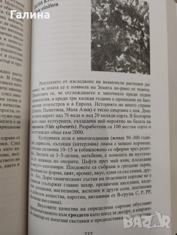 Лечебната сила на храсти и дървета , снимка 5 - Енциклопедии, справочници - 54380629