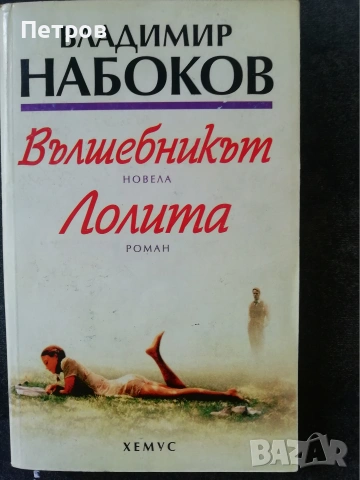 Алис Мънро, Само живот, снимка 15 - Художествена литература - 45383880