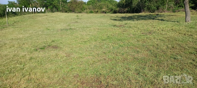  ПОДДРЪЖКА НА ИМОТИ | КЪЩИ   ВИЛИ  ДВОРОВЕ| ПОЧИСТВАНЕ|ГРИЖА ЗА ДОМАШНИ ЛЮБИМЦИ| ЛЕКИ РЕМОНТИ 🔧, снимка 2 - Почистване на домове - 54937983