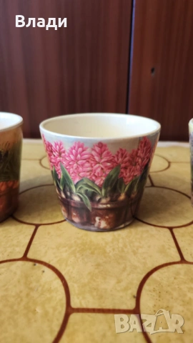 Комплект малки кашпи, снимка 6 - Стайни растения - 54350795
