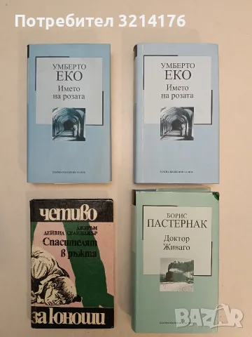 Спасителят в ръжта - Джеръм Дейвид Селинджър (1978)