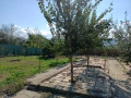 Продавам къща в село Черни Бряг, община Антоново, 64 кв.м с двор, снимка 12