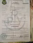 Колесар за лодка до 5м, 750кг, БГ регистрация (възможно с лодката), снимка 9