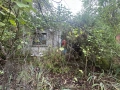 Продавам парцел с къща в с. Батулци, снимка 10