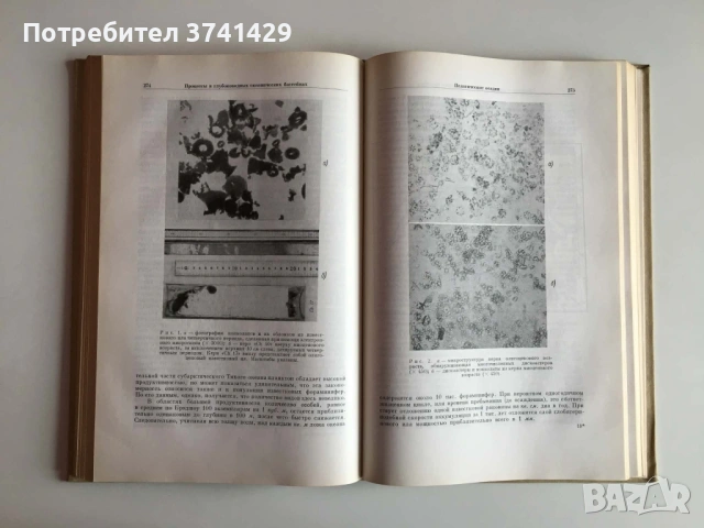 Рядко научно издание: Океанография (1965), руски език, снимка 7 - Специализирана литература - 54463254