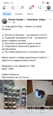 Пъдпъдъчи яйца , снимка 4 - Домашни продукти - 54428326