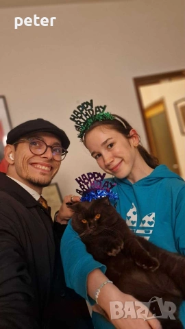 счетоводни и данъчни услуги 