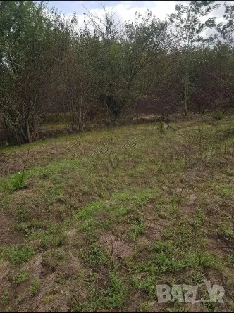 Продавам стара къща с дворно място