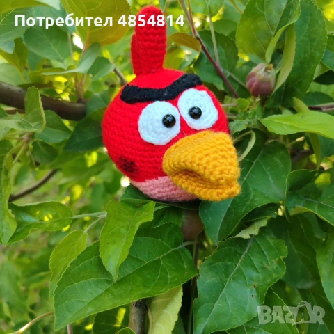 Ядосана птица с размер 12 см.