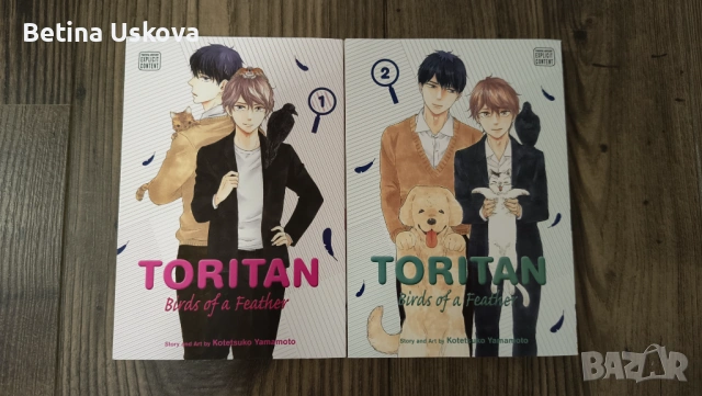 BL (boys love) манга на английски език, снимка 5 - Художествена литература - 54663978