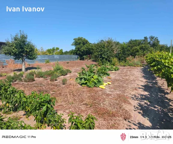 Продавам къща в село Кочмар, Добрич, България, снимка 10 - Къщи - 55615780