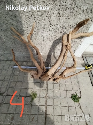 Корени за аквариум и терариум , снимка 6 - Аквариуми - 54393274
