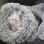 Много Красиво Котенце .Момченце като Меченце, снимка 4