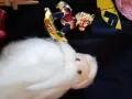 Новогодишни играчки , снимка 9