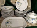 Mittelteich Bavaria нежни сини цветя , снимка 2