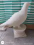 декорация за дома статуя гълъб , снимка 2
