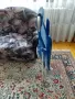 Сгуваем стол за къмпинг и риболов, снимка 5