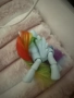 My little pony Rainbowdash Моето малко пони Рейнбоудаш, снимка 2