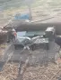 мъжки пуйчета / мисирчета., снимка 3