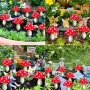 4494 Комплект 8 бр. Светещи Градински Гъбки (Соларни, 20 см), снимка 3