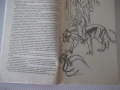 Книга "Разкази за джунглата - Сборник" - 348 стр., снимка 4