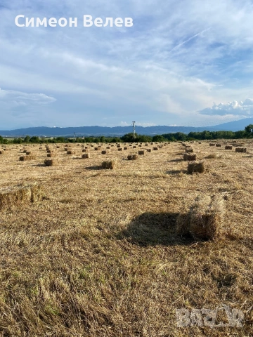 Продавам малки бали сено