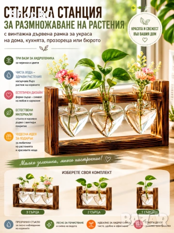 Стъклена ваза за хидропоника на дървена стойка „Heart Glass Vase“