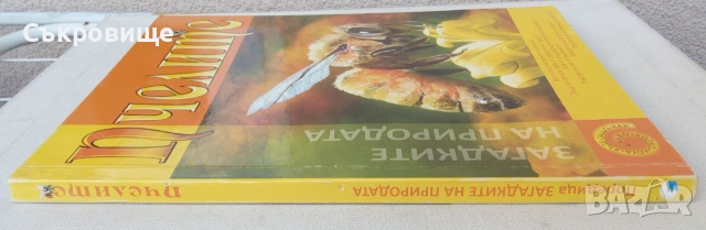 Детска картонена книжка с капачета голям формат Пчелите Загадките на природата, снимка 8 - Детски книжки - 43302877