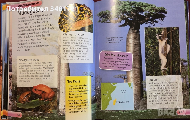 Encyclopedia of Amazing Places, снимка 9 - Енциклопедии, справочници - 55065693