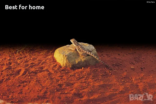 Електрическа нагревателна скала за влечуги Exo Terra Heat Wave Rock, малка 10W, снимка 2 - Терариуми и оборудване - 55646730