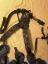 Военна раница 60л DPM Camo с MOLLE система – Армия на Нидерландия и система за насене на товари, снимка 8