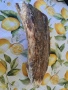 Бивник, снимка 1
