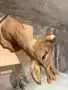 Продавам препарирани сръндаци, снимка 10