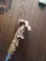 Ловджийски нож..., снимка 4