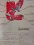Продавам/подарявам кенгуру, снимка 4
