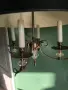 Френски полилей , снимка 2