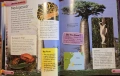 Encyclopedia of Amazing Places, снимка 9