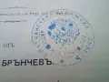 1893г. Развъждане на горите, снимка 3