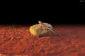 Електрическа нагревателна скала за влечуги Exo Terra Heat Wave Rock, малка 10W, снимка 2