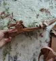 Дамски сандали, естествена кожа , снимка 3