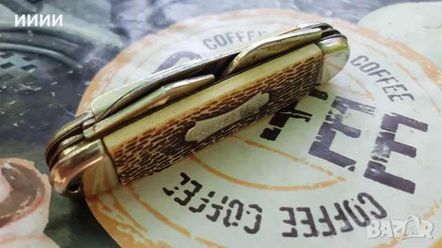 Ножка ирландска скаутска 