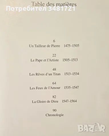 Микеланджело - живот и творби / Michel-Ange, снимка 2 - Изкуство, музика, кино и фотография - 55362001